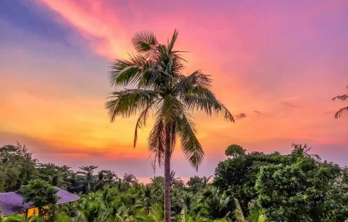 Kinh nghiệm Du lịch Phú Quốc
